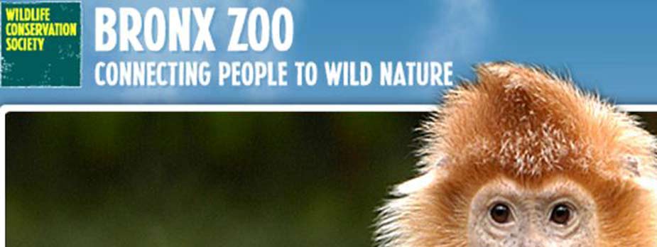 Bronx Zoo