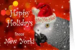 New York Greeting Card buy